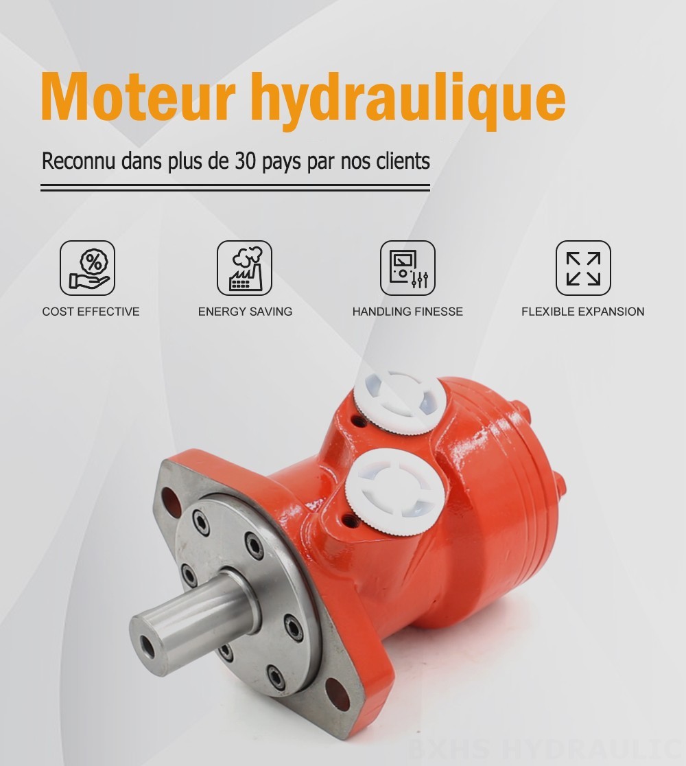 Moteur hydraulique cycloïde BMR_Cycloid Hydraulic Motor-3 80 cm³/tr 53 L/min Moteur hydraulique